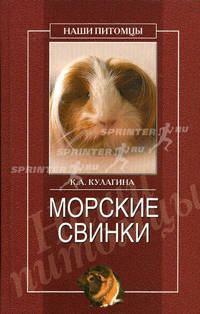 Морские свинки