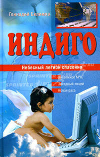 Индиго. Небесный легион спасения