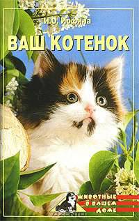 Ваш котенок