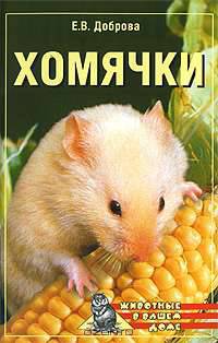 Хомячки