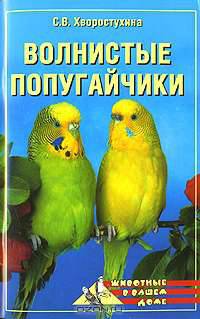 Волнистые попугайчики - (ЗООКЛУБ)