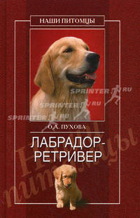 Лабрадор-ретривер