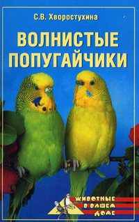 Волнистые попугайчики