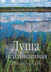 Душа неизъяснимая. Размышления о русском народе
