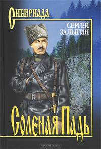 Соленая Падь: роман