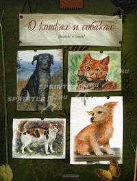 О кошках и собаках: Потешки, псесенки, загадки, сказки, стихи, рассказы
