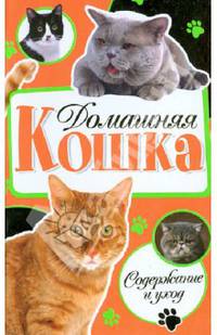 Домашняя кошка. Содержание и уход.