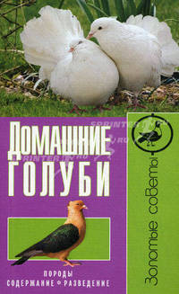 Домашние голуби. Породы, содержание, разведение