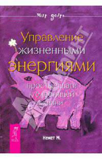 Управление жизненными энергиями. Простые шаги к блестящей жизни