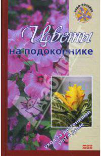 Цветы на подоконнике