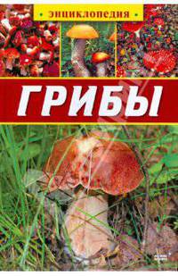 Грибы. Энциклопедия