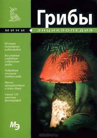Грибы. Мини-энциклопедия