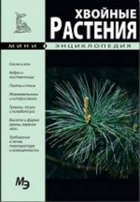 Хвойные растения. Мини-энциклопедия