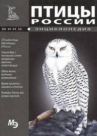 Птицы России. Мини-энциклопедия