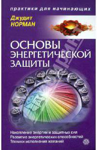 Основы энергетической защиты.