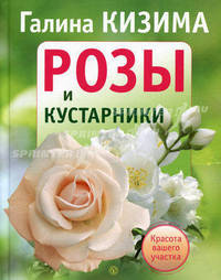 Розы и кустарники. Красота вашего участка