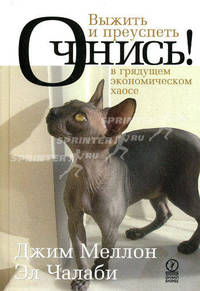 Очнись! Выжить и преуспеть в грядущем экономическом хаосе. Пер.с англ.