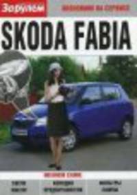 Skoda Fabia ч/б фото Экономим на сервисе