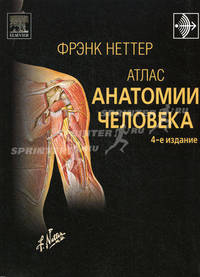 Атлас анатомии человека — 6-е изд.
