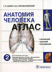 Анатомия человека: атлас. В 3-х томах. Том 2. Внутренние органы (специальности 060101.65 'Лечебное дело', 060103.65 'Педиатрия', 060104.65 'Мед.-проф. дело', 060105.65 'Стоматолог