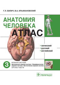 Анатомия человека. В 3-х т. Т. 3. Нервная система: Учебное пособие / Г.Л. Билич, В.А. Крыжановский. - ил., (Гриф)