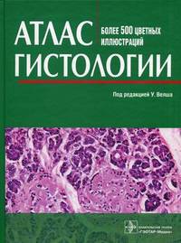 Атлас гистологии. Более 500 цветных иллюстраций