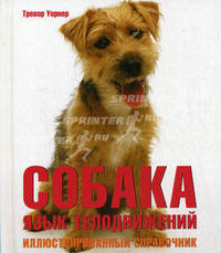 СОБАКА: язык телодвижений: Иллюстрированный справочник