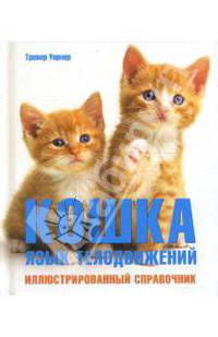 Кошка: язык телодвижений