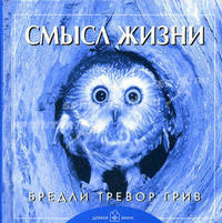 Смысл жизни (11 г.)