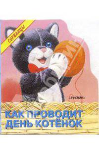 Как проводит день котенок