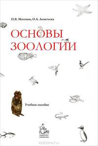 Основы зоологии. Гриф УМО по классическому университетскому образованию