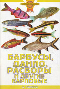 Барбусы, данио, расборы и другие карповые - (Золотые советы по уходу и содержанию)