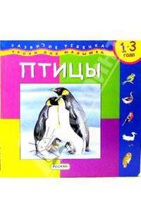 Птицы