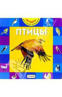 Птицы