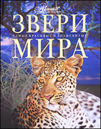 Звери мира