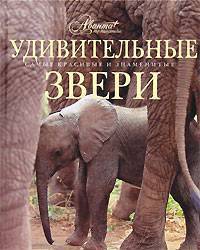 Удивительные звери.