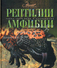 Рептилии. Амфибии