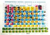 Периодическая система элементов Д.И.Менделеева