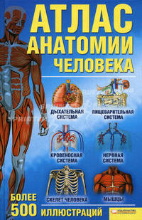 Атлас анатомии человека (БММ) новый