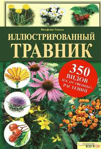 Иллюстрированный травник. 350 видов лекарственных растений / Гензель В.