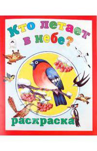 Кто летает в небе? Раскраска