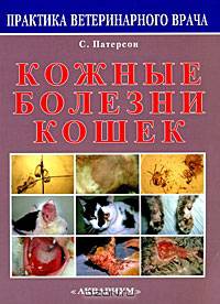 Кожные болезни кошек