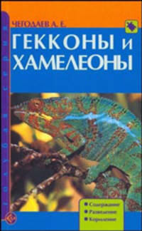 Гекконы и хамелеоны. Содержание. Разведение. Кормление