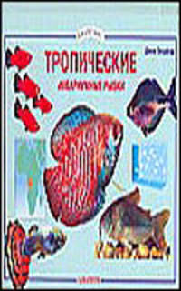 Тропические аквариумные рыбки
