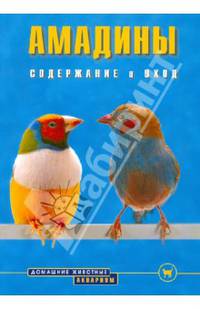Амадины. Содержание и уход