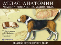 Атлас анатомии мелких домашних животных (305х230)