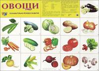 Овощи. Позновательно-речевой развитие. Наглядное пособие