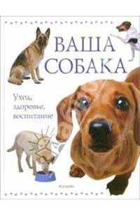 Ваша собака. Уход, здоровье, воспитание