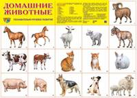 Домашние животные и птица. 28 карточек. Демонстрационный материал.