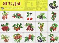 Демонстрационный плакат. Ягоды